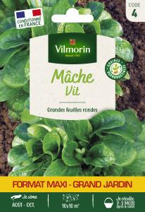 Mâche Vit - Grand Modèle